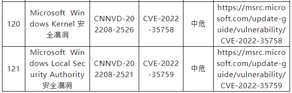 信息安全漏洞月報(bào)（2022年8月）表8-17